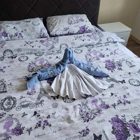 Centar_Park Apartamento Arandjelovac Exterior foto